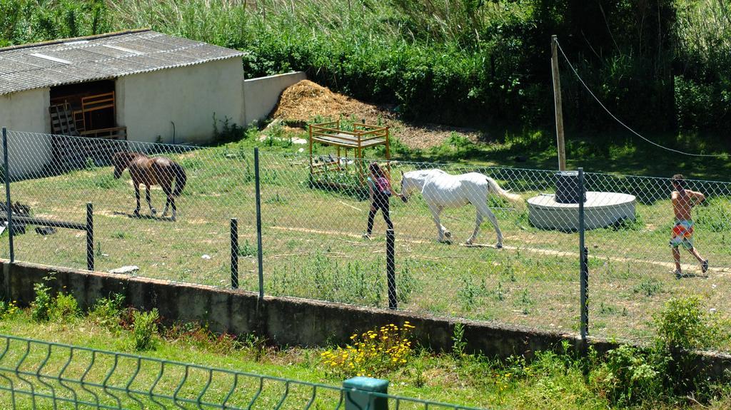 منزل الضيف Maçeira  في Quinta Do Forno المظهر الخارجي الصورة
